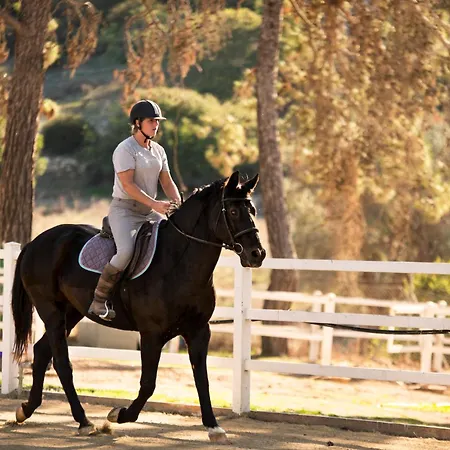 Aphrodite Hills - Junior Куклия